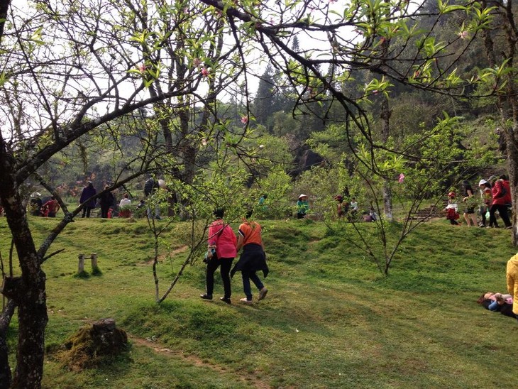 Spring colors of Sapa - ảnh 5